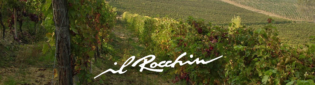 319_a_cantina_rocchin_7_logo-crop